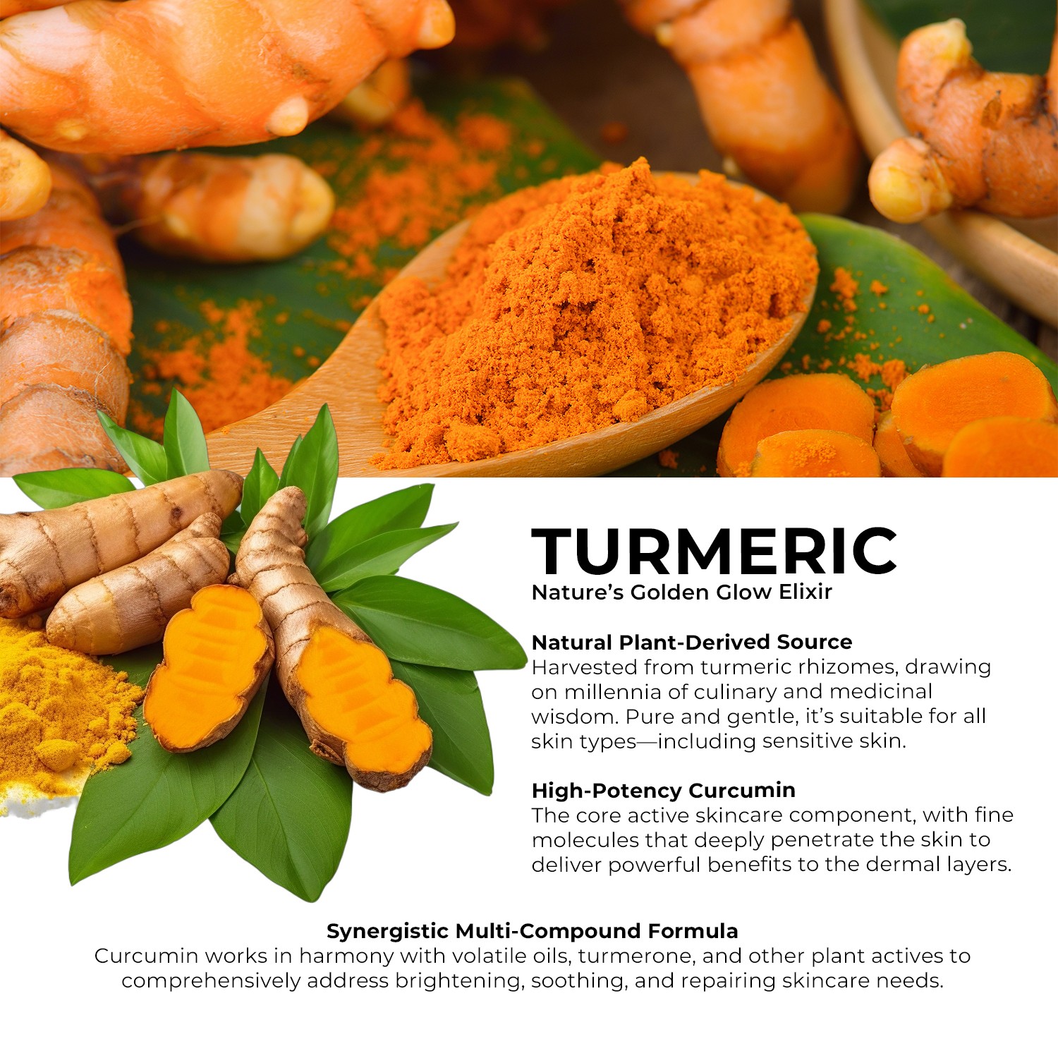 Night Hydrating Private Label Brightening Turmeric Skin Care Removing Black Spot Remover Turmeric Face Serum for Dark Spots