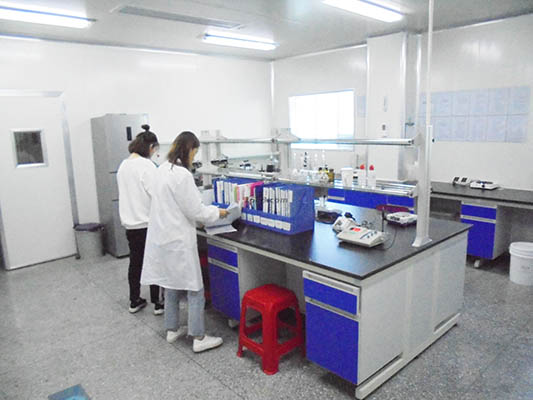 Company Image 1