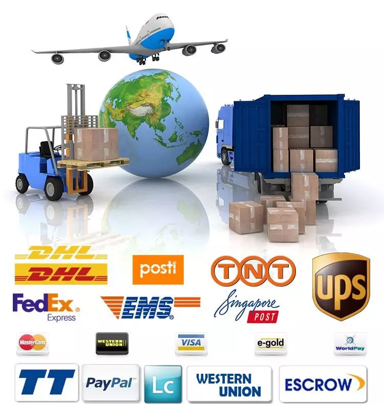 Shipping