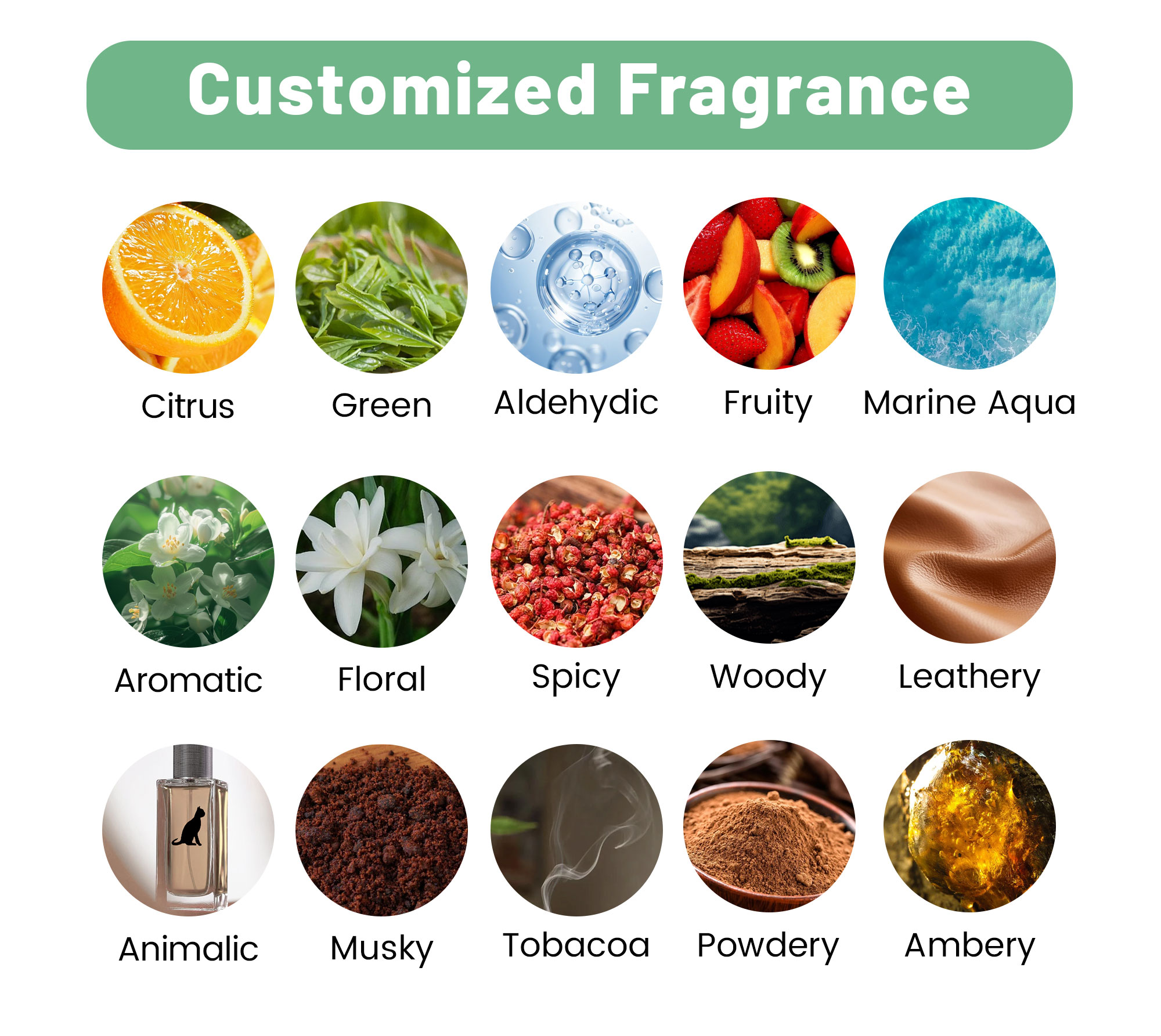Custom choice option 7