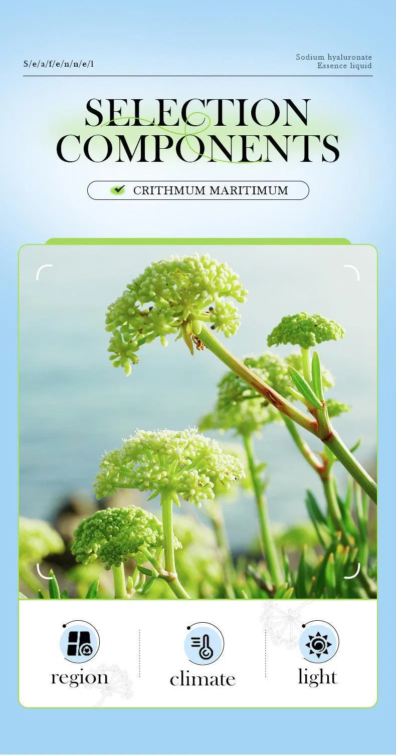 Sea Fennel Hyaluronic Acid Hydrating Moisturizing Emergency Repair Anti-Fatigue Soothing Facial Serum