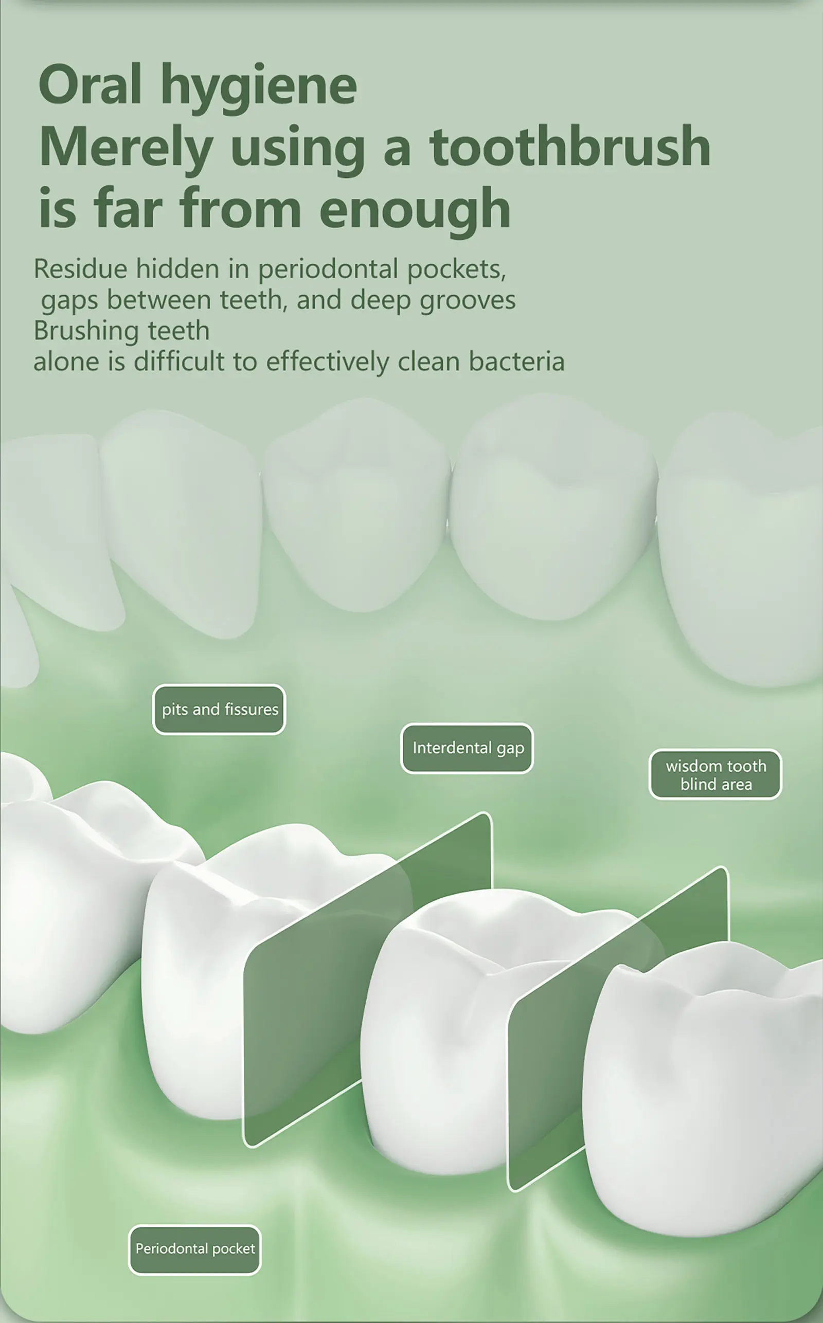 TTFACE Pull-out Oral Hygienizer (4)