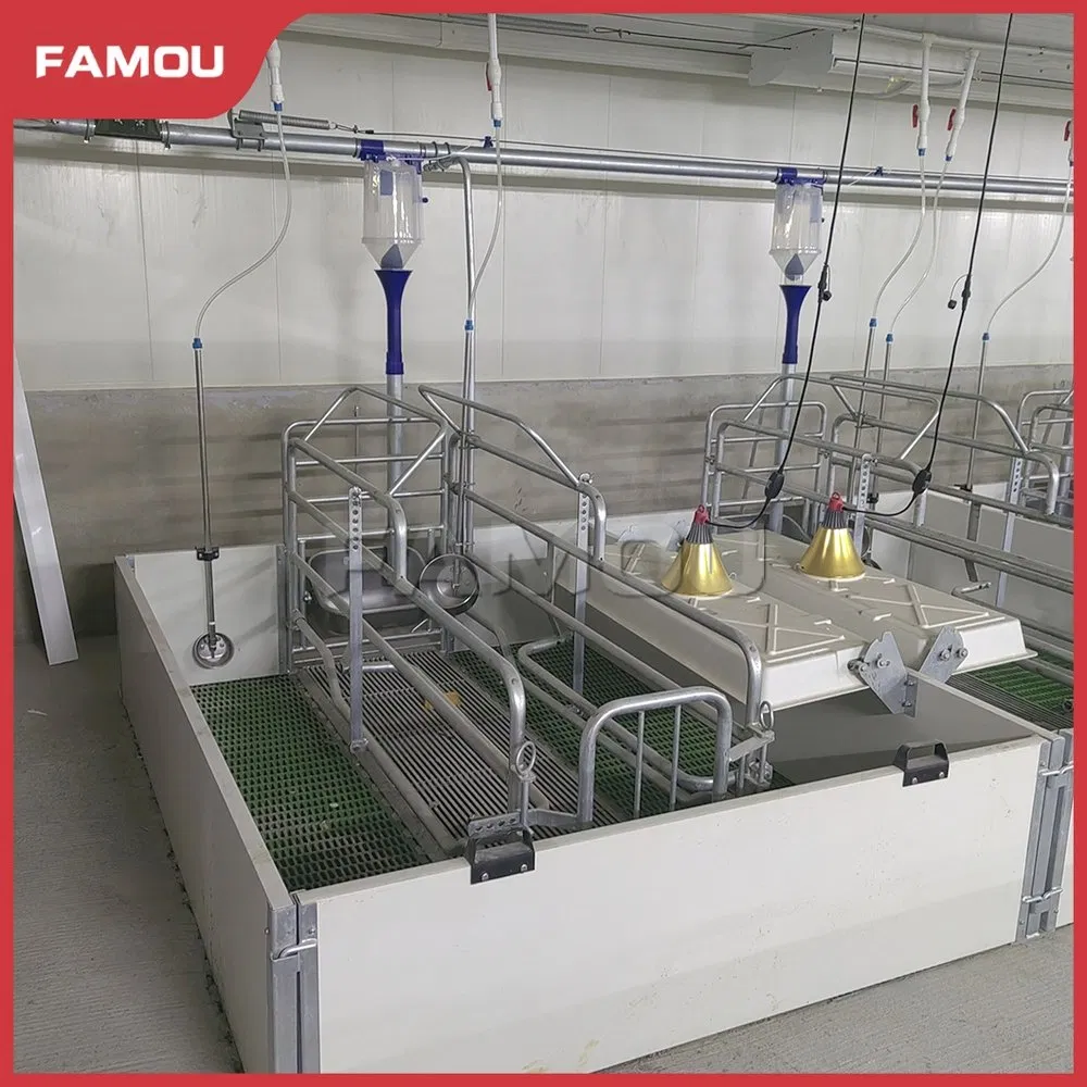 Advanced Piglet Care Solutions for Optimal Farrowing Success