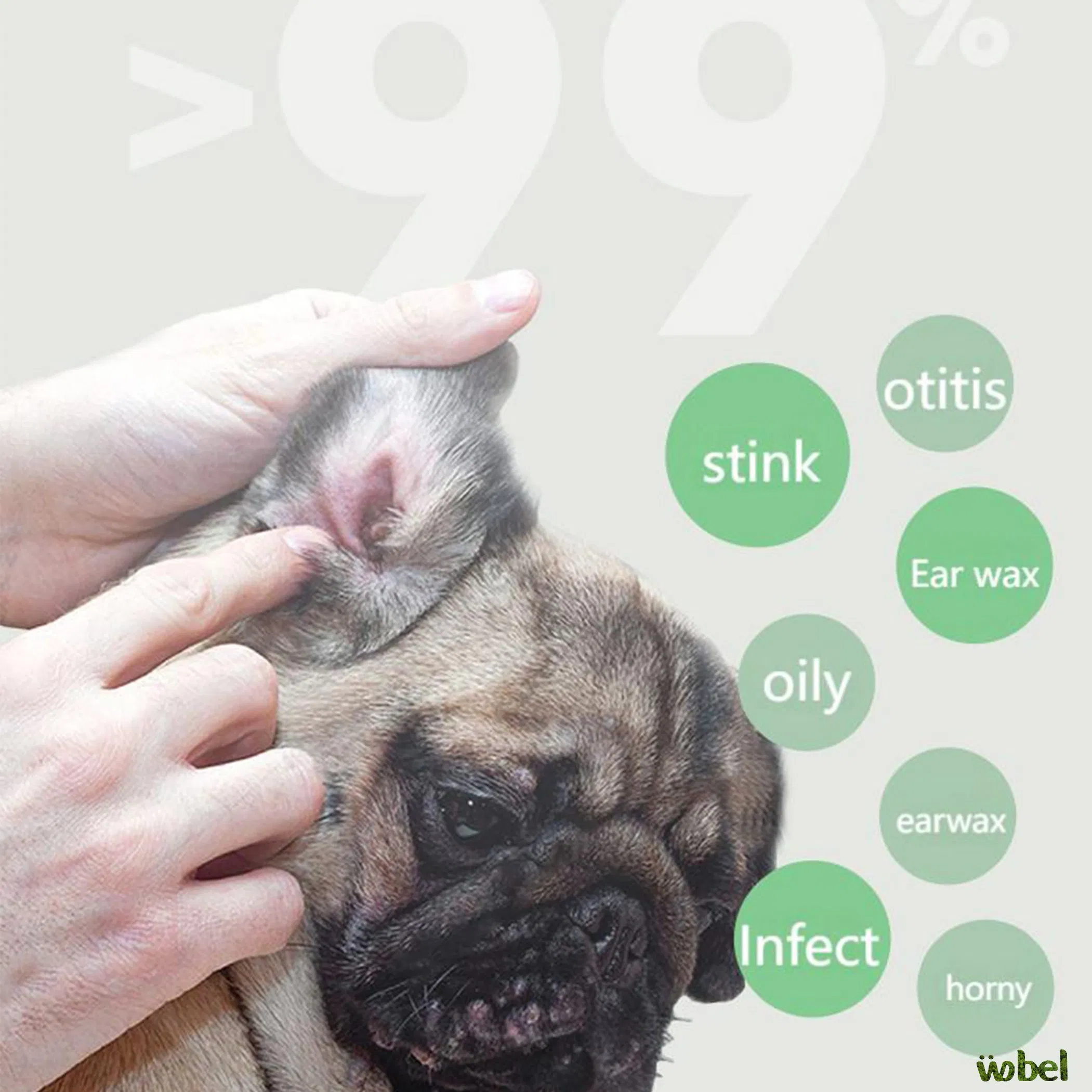 Wholesale Ear Care Solution – Plant-Based &amp; Export Ready OEM