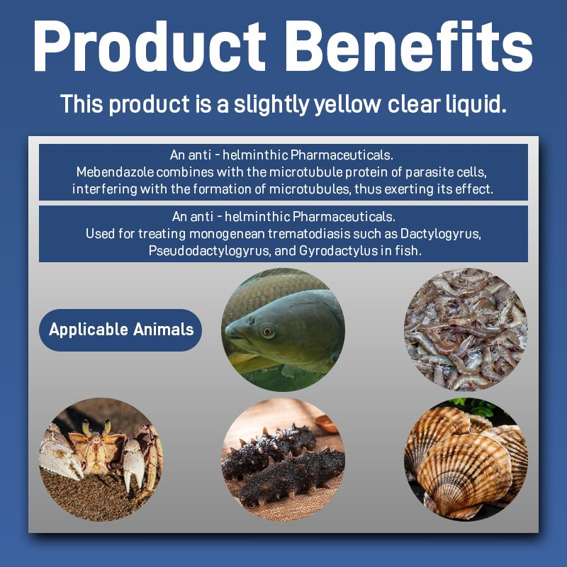 Premium Veterinary Pharmaceuticals Mebendazole Solution for Aquatic Species Care