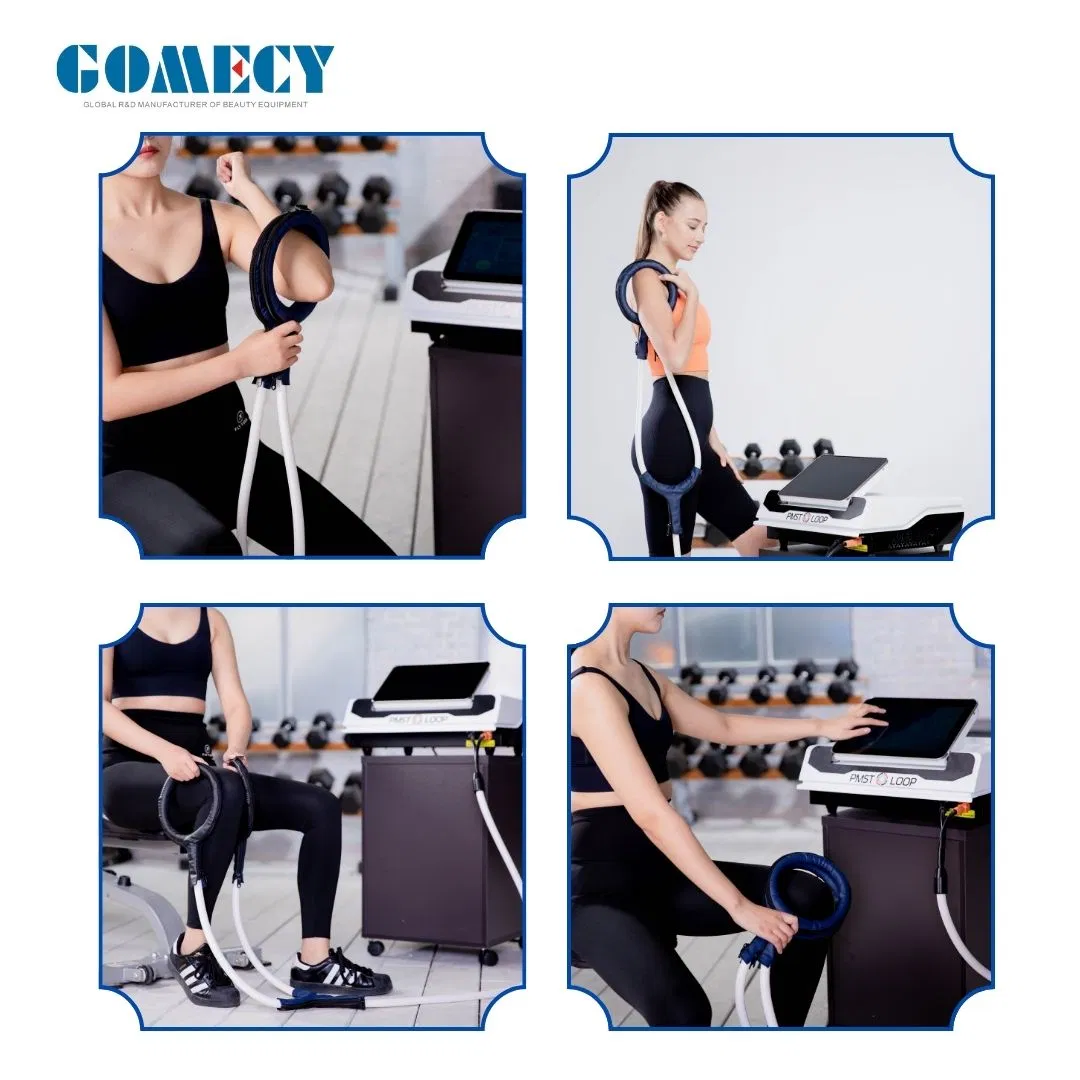 24700 Gauss Arthritis Healing Bone Muscle Repair Pain Relief Physiotherapy Mattress