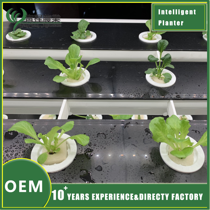 Hydroponic Gardening Solution for Hydroponic Smart Indoor Planter Care and Growth