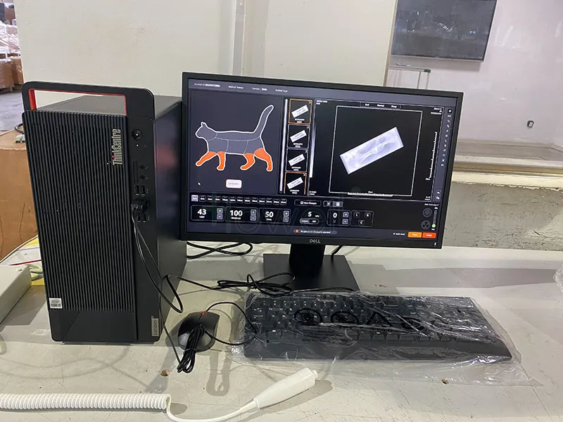 Veterinary X-ray System View 7