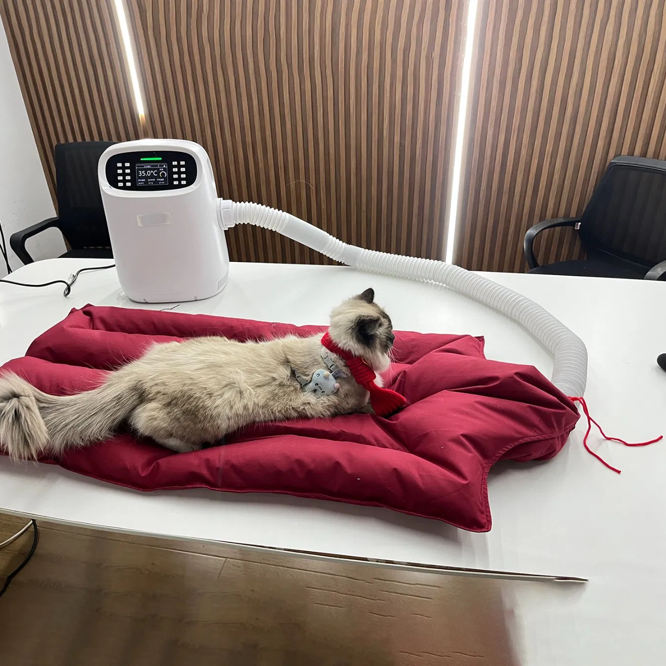 Cat Dog Pet Use Vet Veterinary Automatic Heating Constant Temperature Air Warming Cushion System Machine for Sale