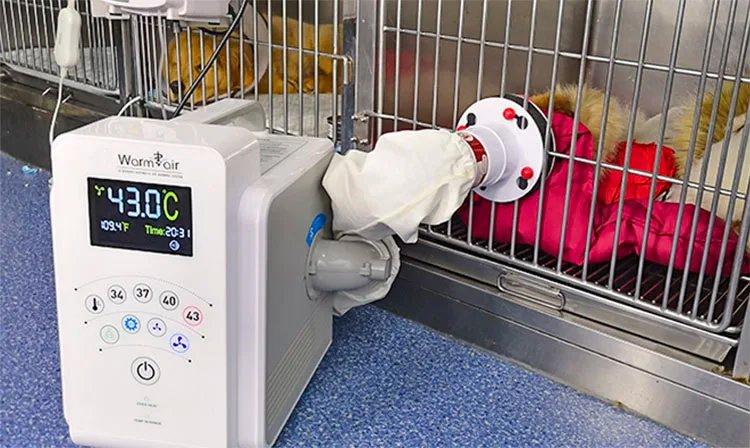 Portable Veterinary Instrument Medical Patient Warm System Machine for Sale