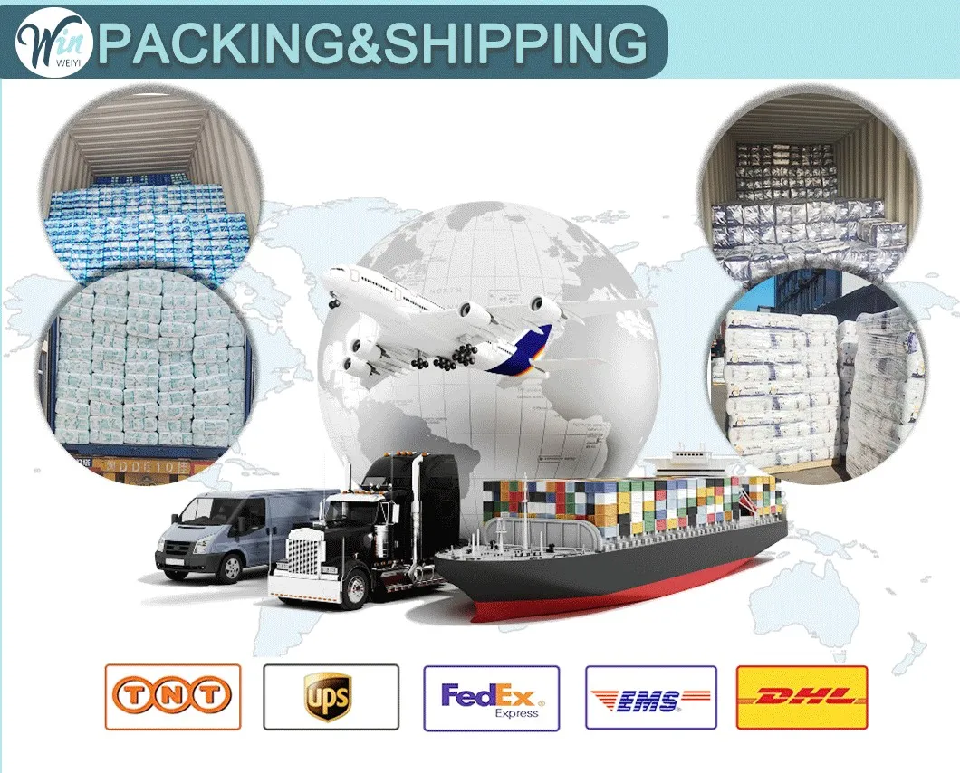 Shipping and Logistics