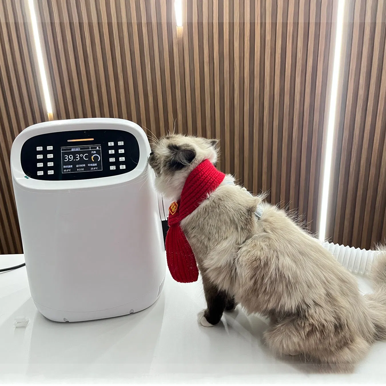 Automatic Animal Air Warming System Veterinary Diagnostic Equipment for Clinic Use on Sale