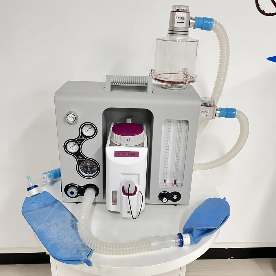 Anesthesia System Detail