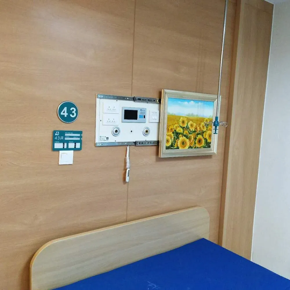 Hot Selling ICU Ward Bed Head Units System