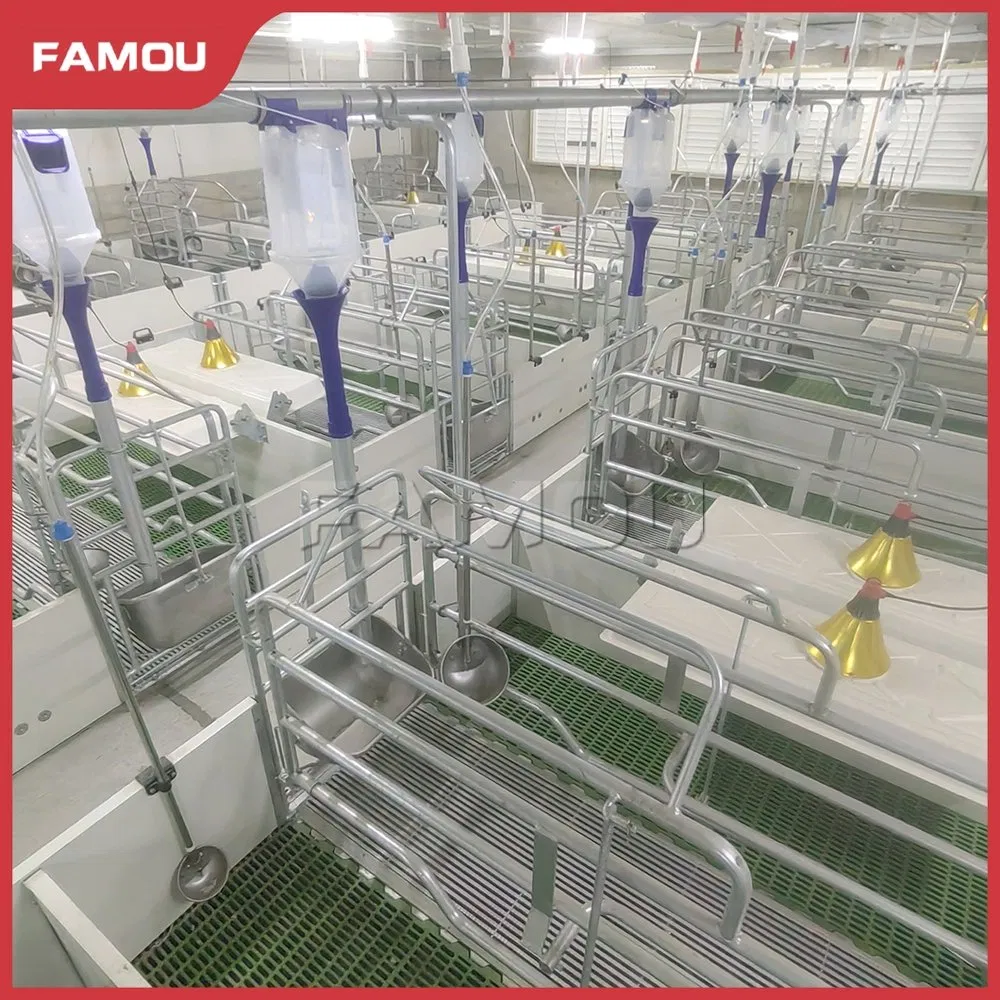 Advanced Piglet Care Solutions for Optimal Farrowing Success