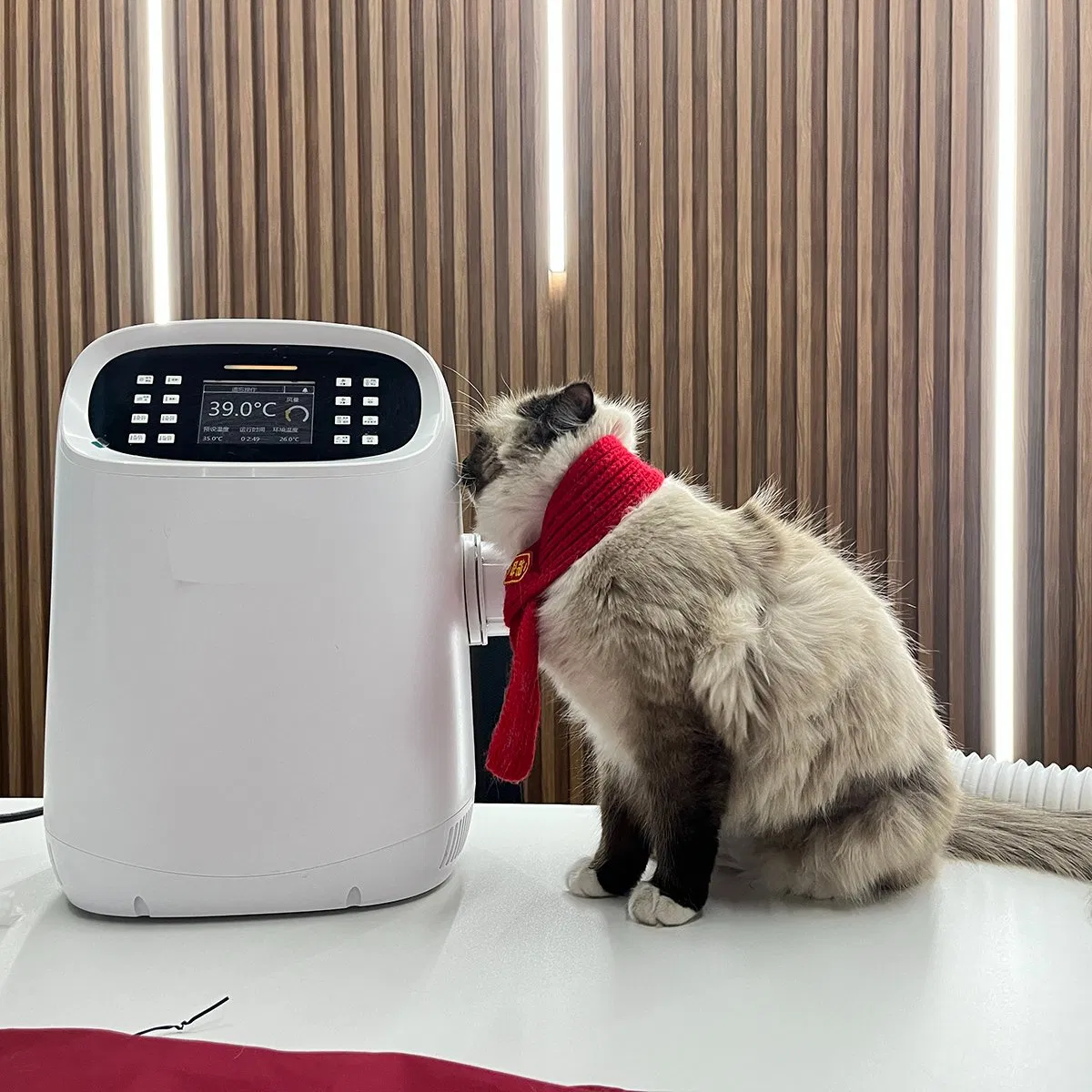 Cat Dog Pet Use Vet Veterinary Automatic Heating Constant Temperature Air Warming Cushion System Machine for Sale