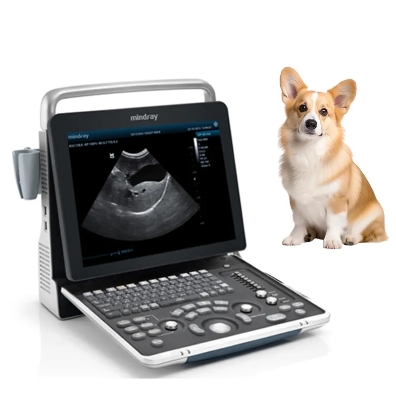 Ultrasound System 4