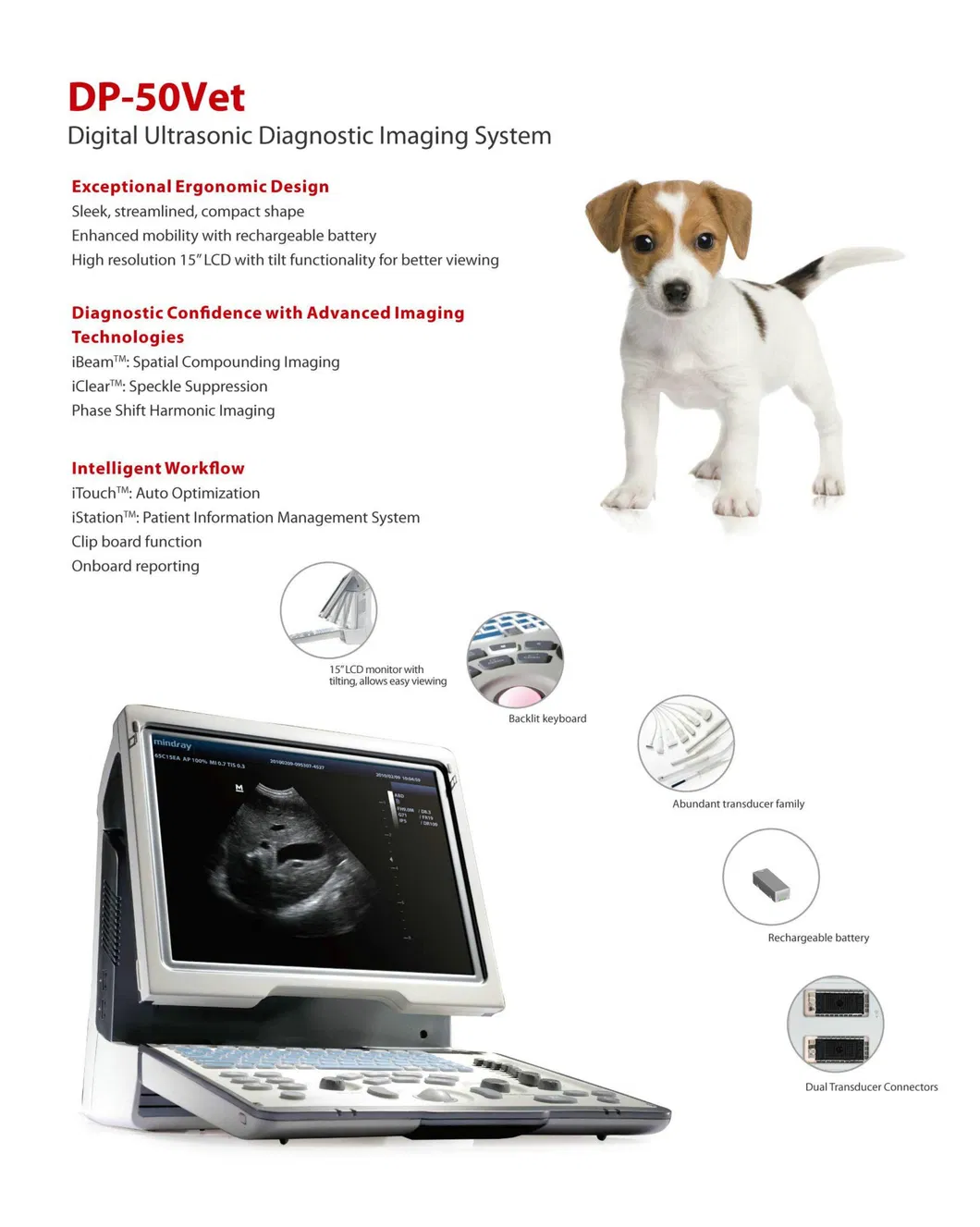 Ultrasound System 7