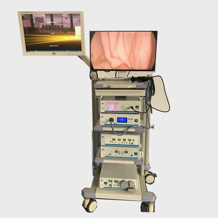 Full HD Endoscopic Imaging System