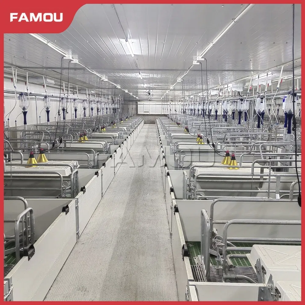 Advanced Piglet Care Solutions for Optimal Farrowing Success