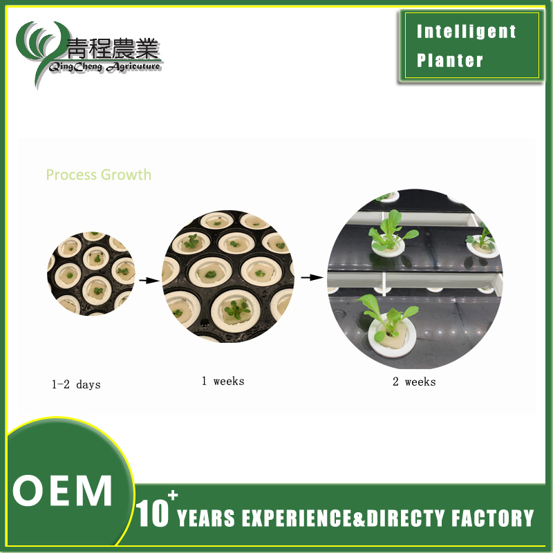 Hydroponic Gardening Solution for Hydroponic Smart Indoor Planter Care and Growth