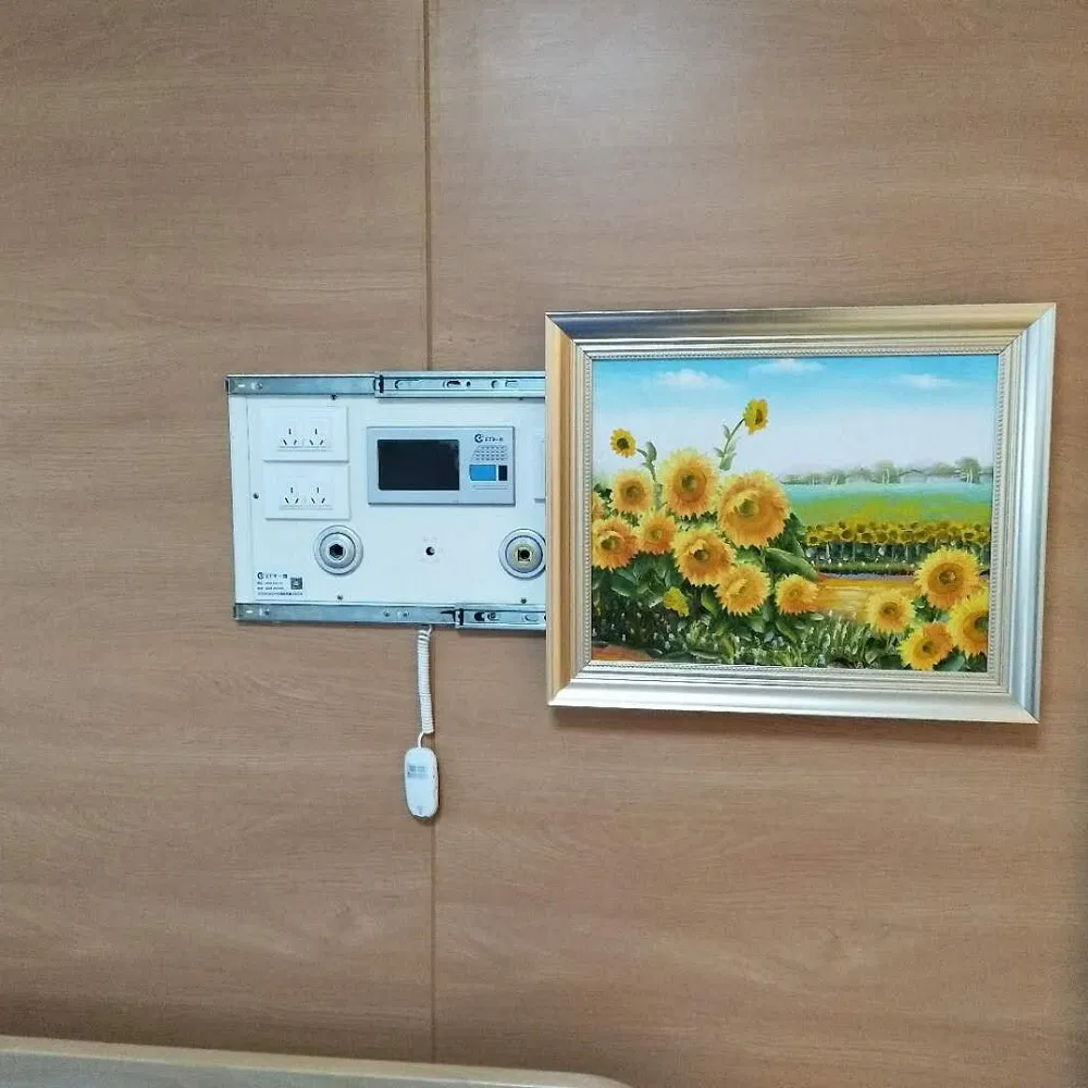 Medical Equipment Price Bed Head System