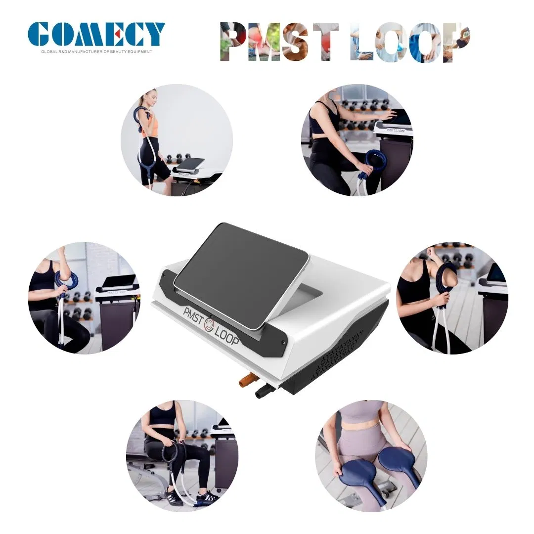 24700 Gauss Arthritis Healing Bone Muscle Repair Pain Relief Physiotherapy Mattress