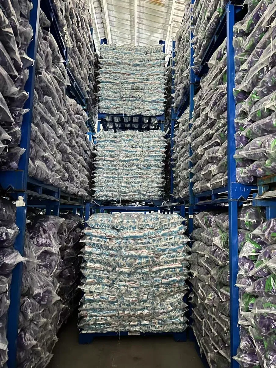 Ultimate Laundry Care: Color Safe and Freshness Assured Solution