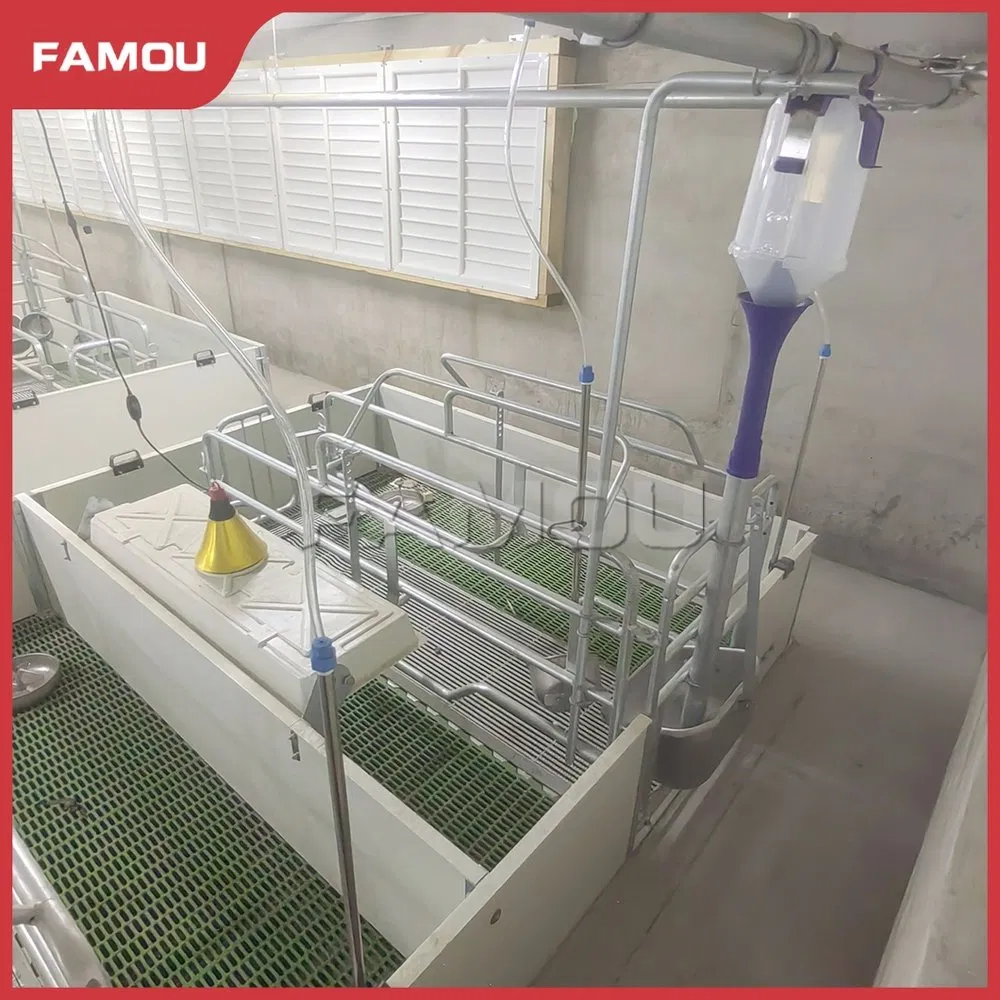 Advanced Piglet Care Solutions for Optimal Farrowing Success