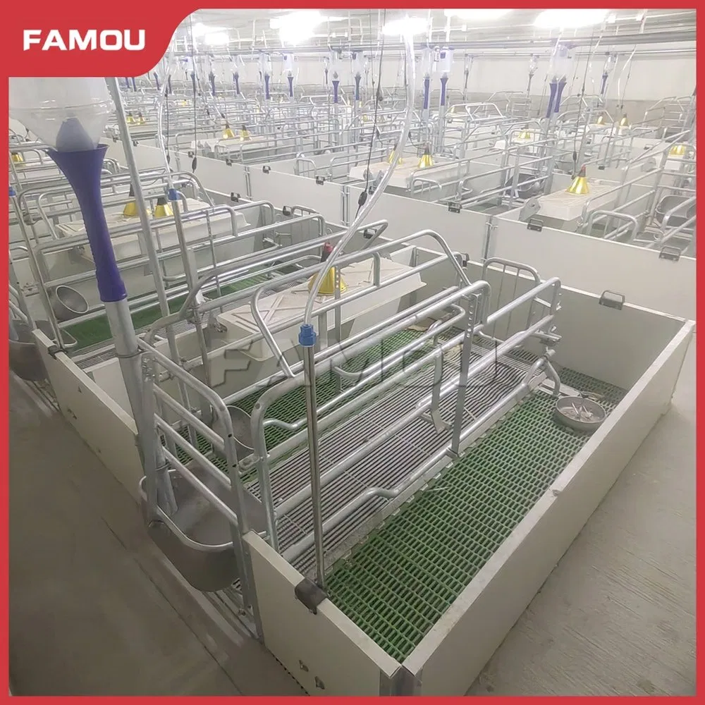 Advanced Piglet Care Solutions for Optimal Farrowing Success