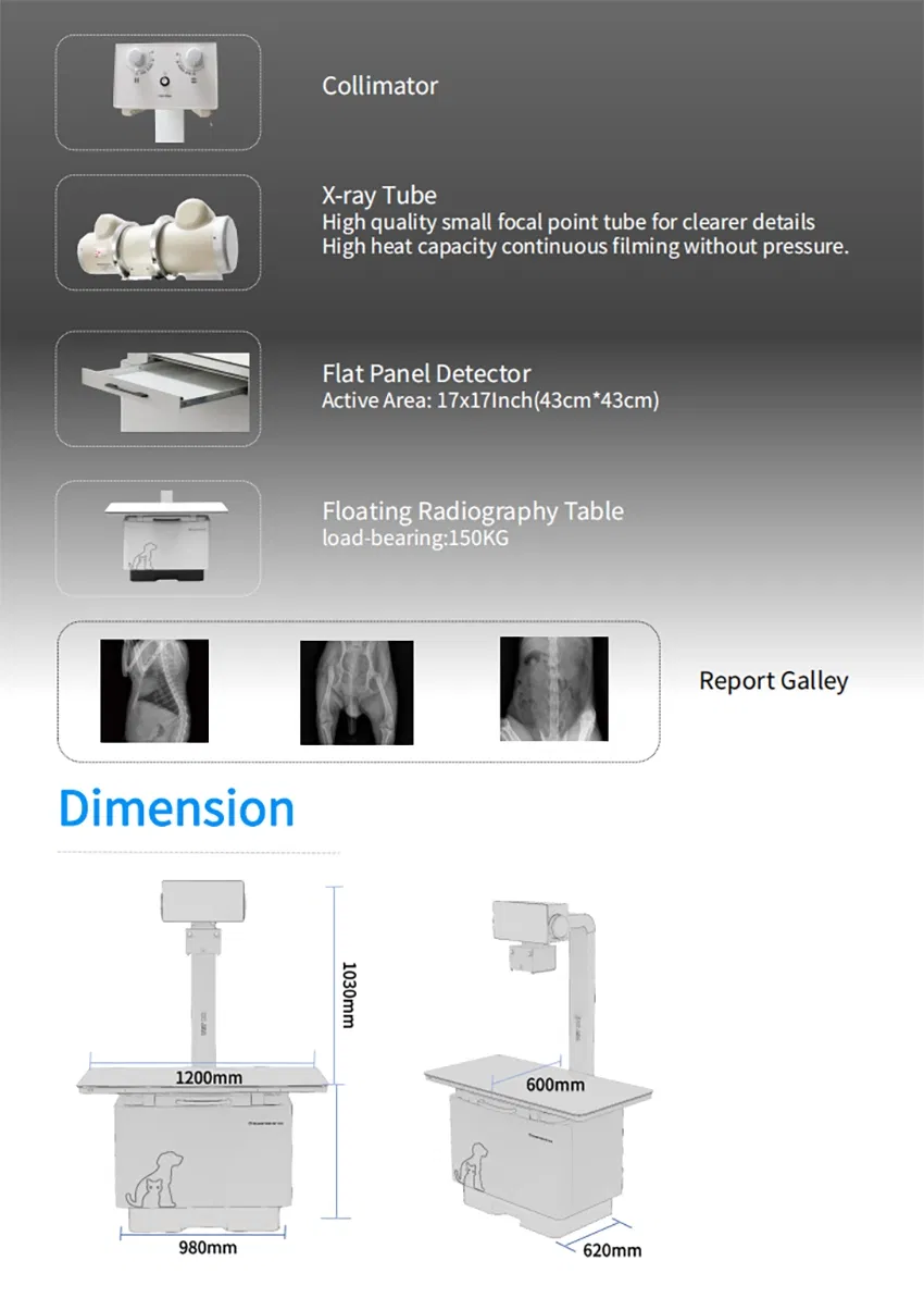 Detailed Radiography 2
