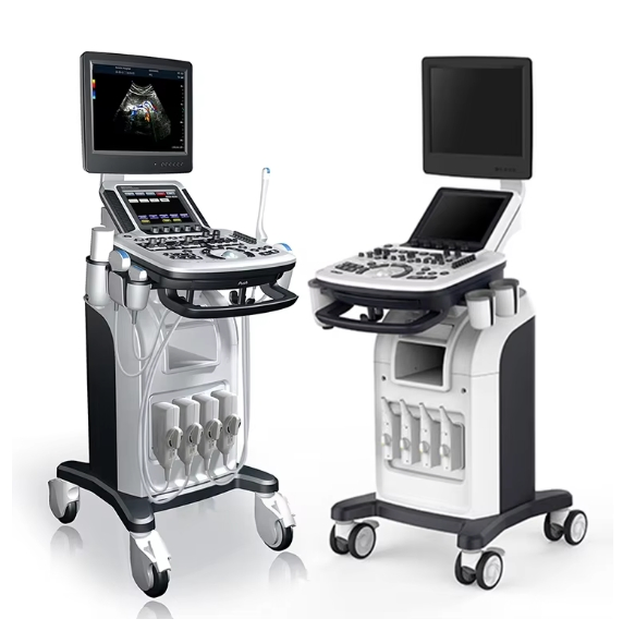 Color Doppler 4D Ultrasound System, Accurate Diagnosis with Clear Imaging