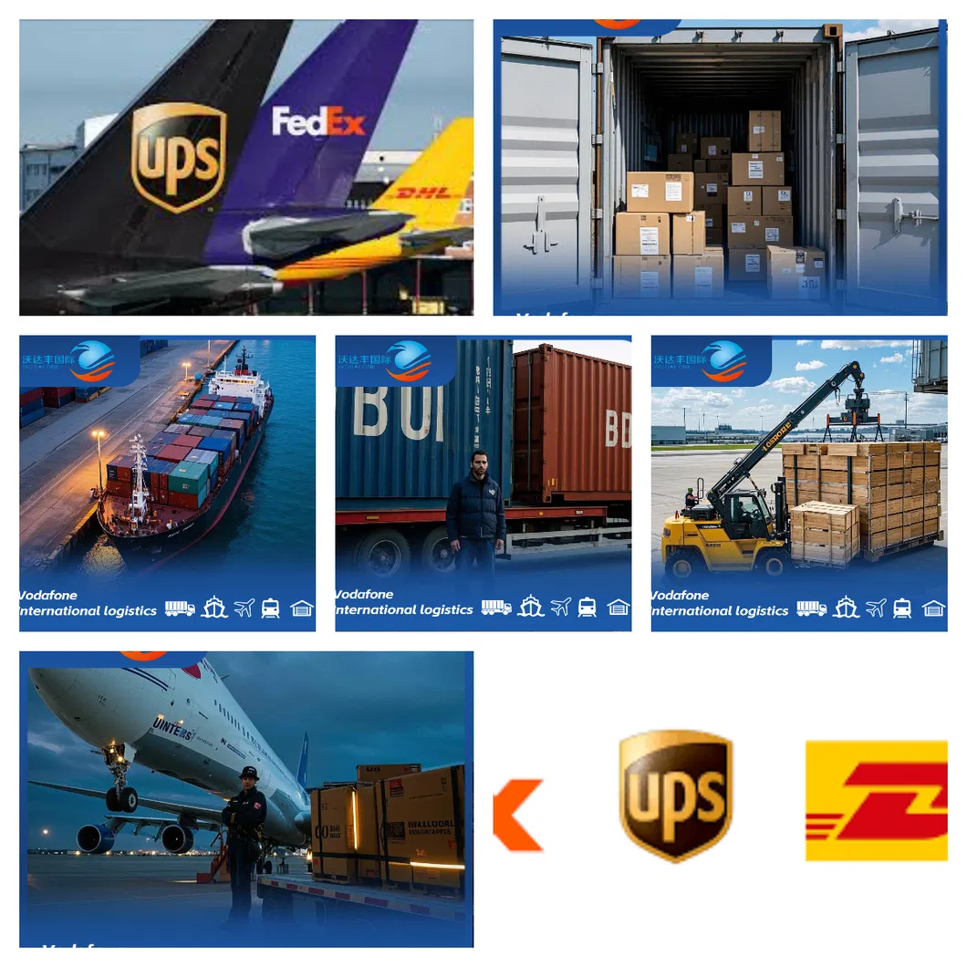 Packaging and Logistic Process