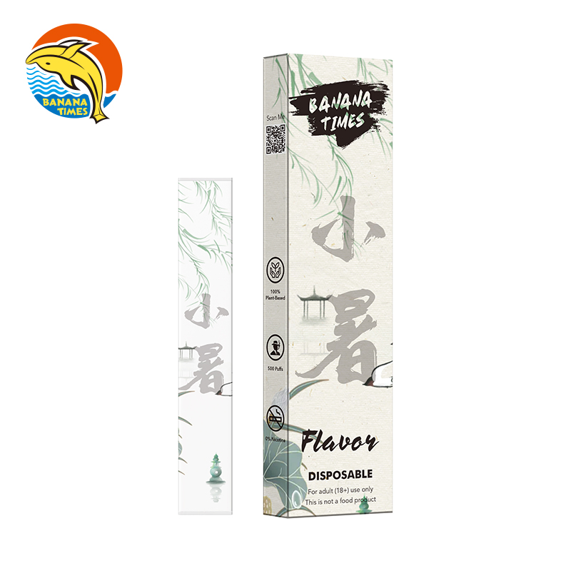 Wholesale E-Cigarette Vape 600 Puffs Zero Nicotine Health Vaper Energy Diffuser Vape
