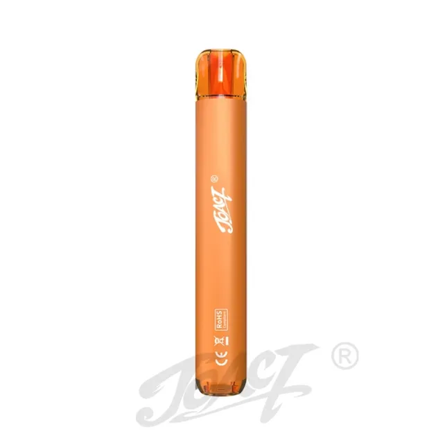 Prefilled Professional Disposable Mini Electronic Cigarette Vape Construction