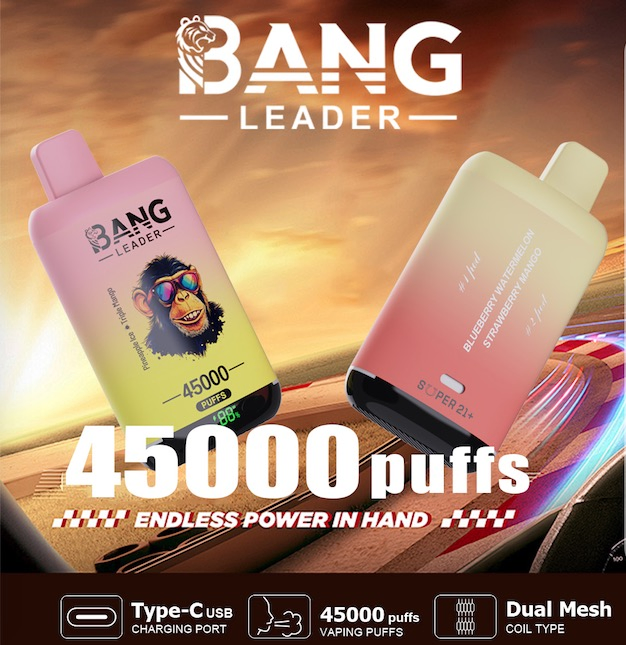 EU Warehouse Spain Hot Bangleader 45000 Puff Double Flavor Wholesale Vape Pen Mini E Cigarette 32K 45K Disposable Vape Dual Flavors 2 in 1 Vape E Cig 2% 5% Nic