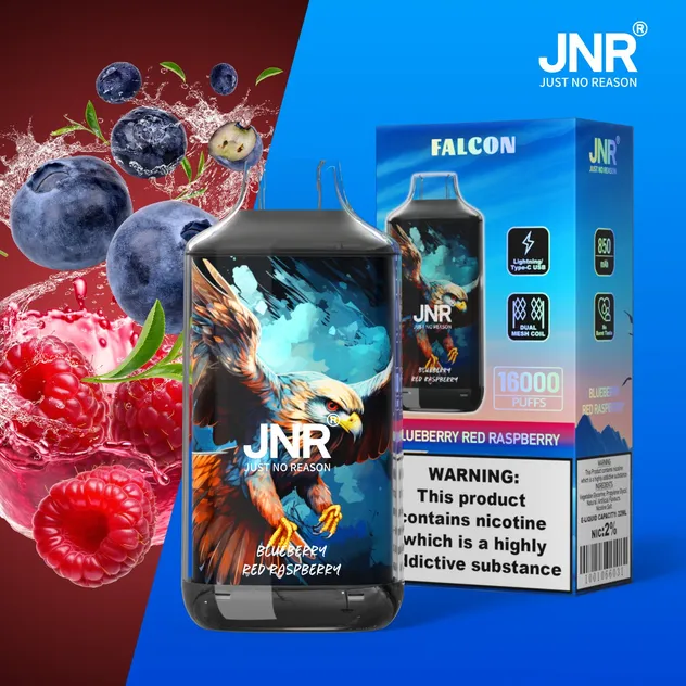 Jnr Falcon 16K Puffs Rechargeable Disposable Vape Hot Trend Free Shipping Digital Display Smart Screen Smooth Draw