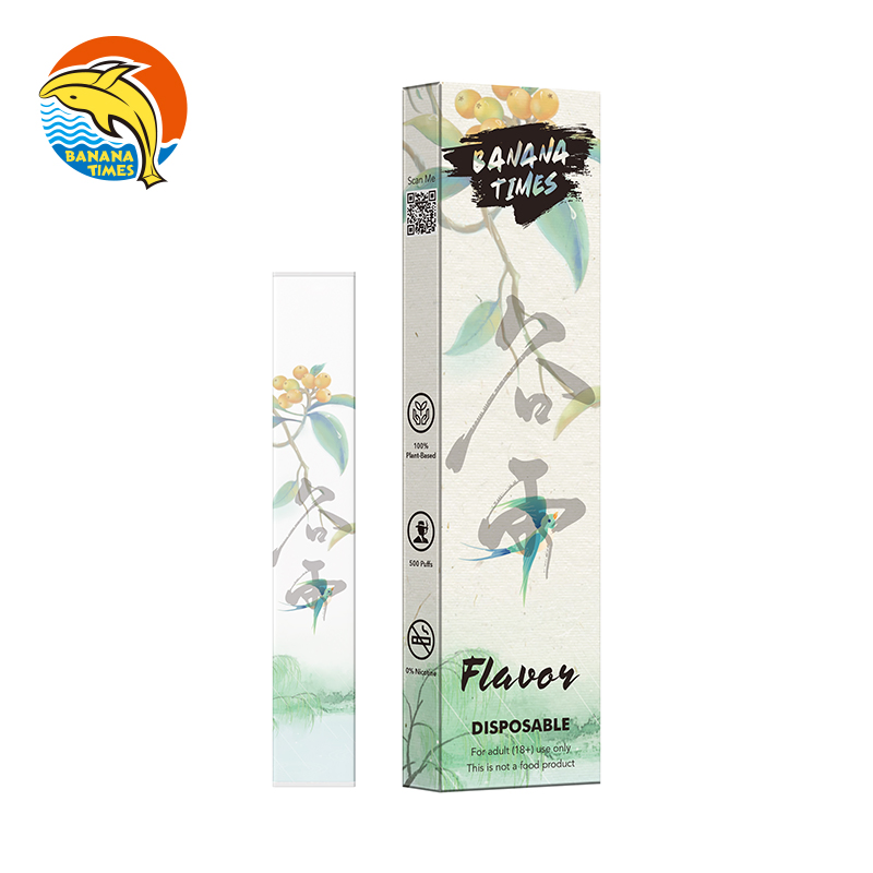 Wholesale E-Cigarette Vape 600 Puffs Zero Nicotine Health Vaper Energy Diffuser Vape