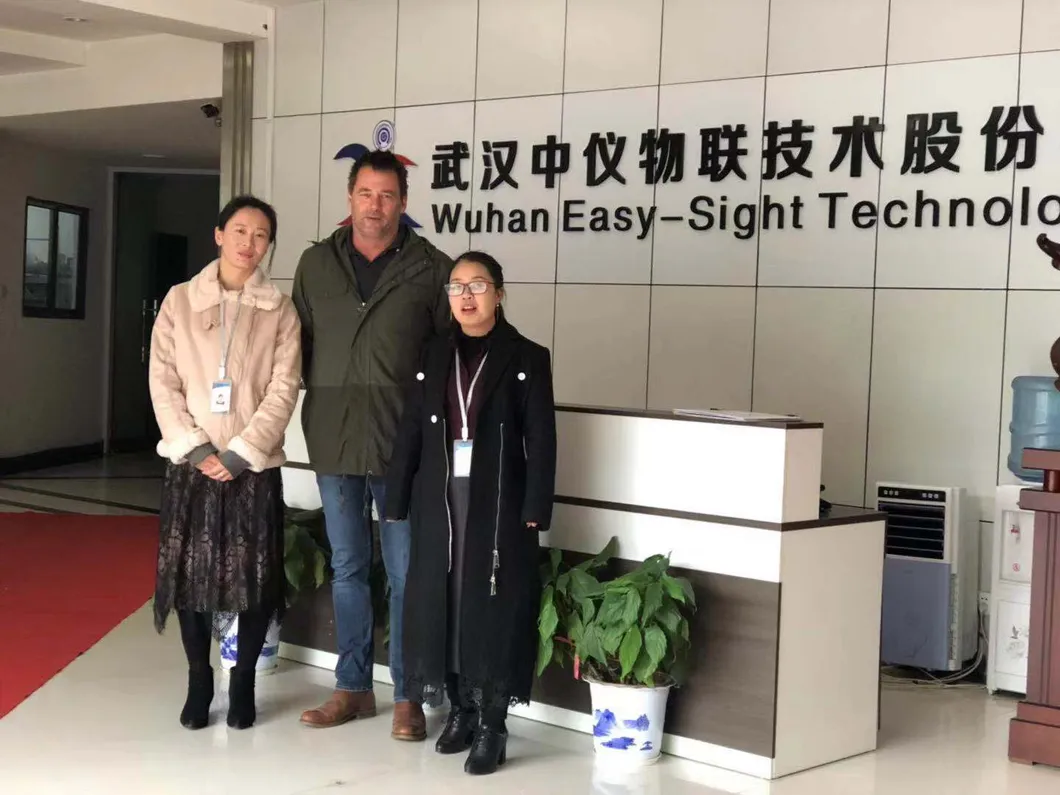 Portable Photocuring Repair System