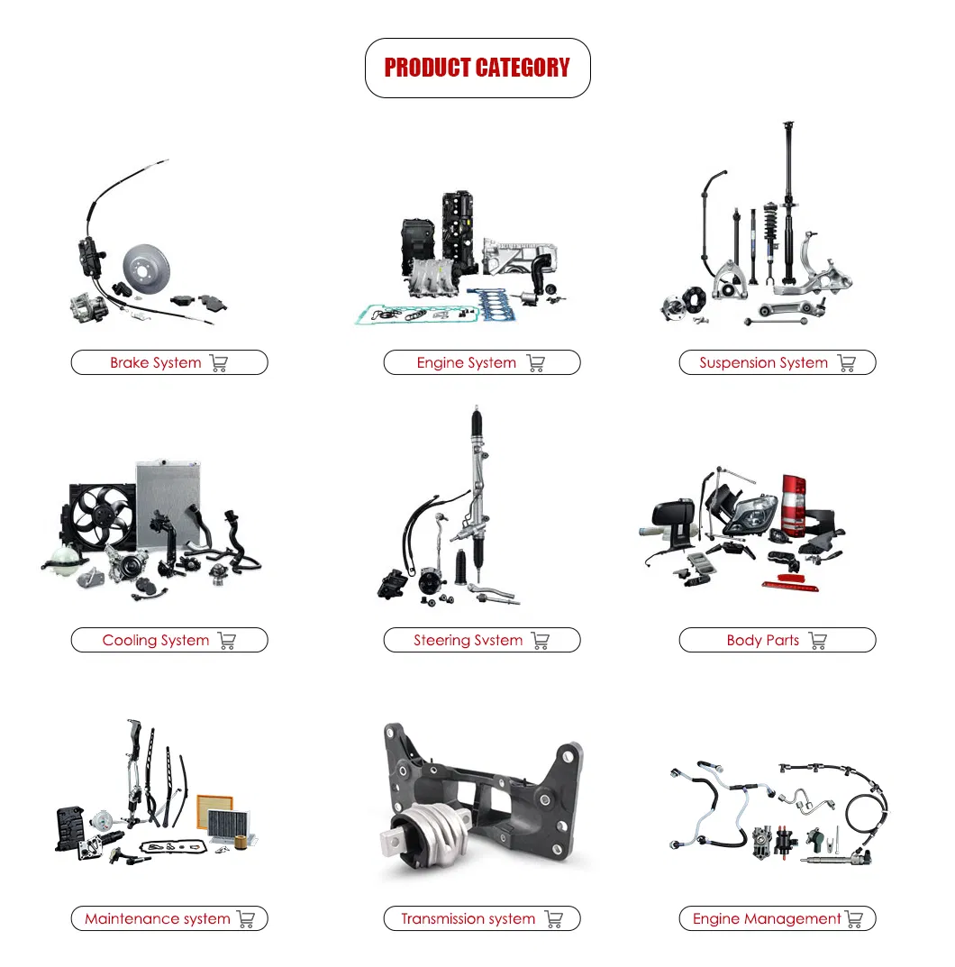 Sprinter Release Bearing Part 2