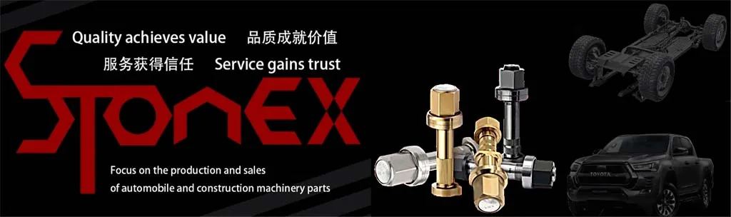 Differential Repair Kit