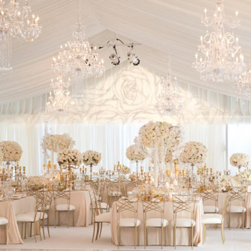 Chameleon Tiffany Metal Chiavari Chair Event Banquet Party Restaurant Dining Wedding Chairs