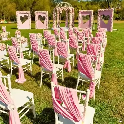 Elegance Durable Sutrdy Wedding Banquet Event Semi-Inserted Steel Tube Resin Chiavari Chair