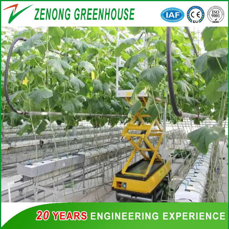 Agriculture Height Scissor Lift   Elevating Work Platform for Greenhouse High Harvest