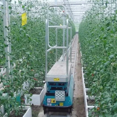 High Safety Hydraulic Elevating Work Platform for Greenhouse Fruits Picking