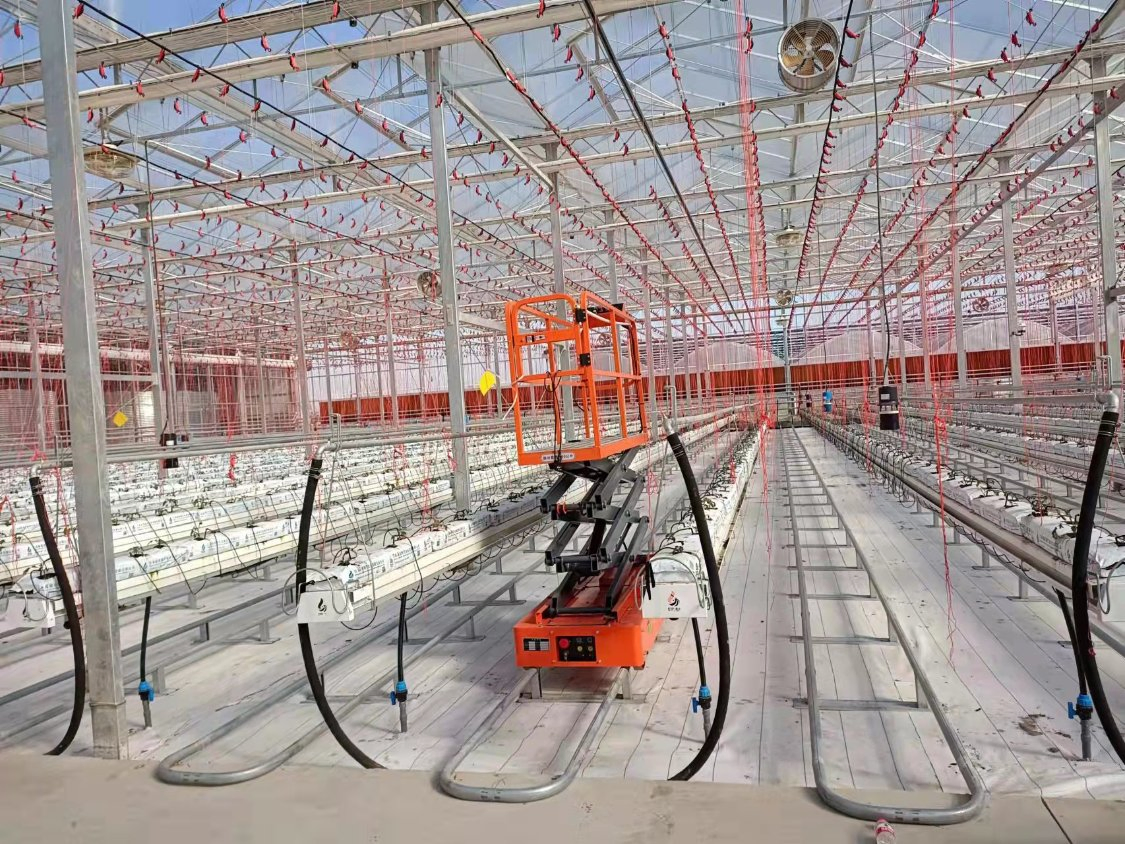 Greenhouse Picking Sissor Lift Platform