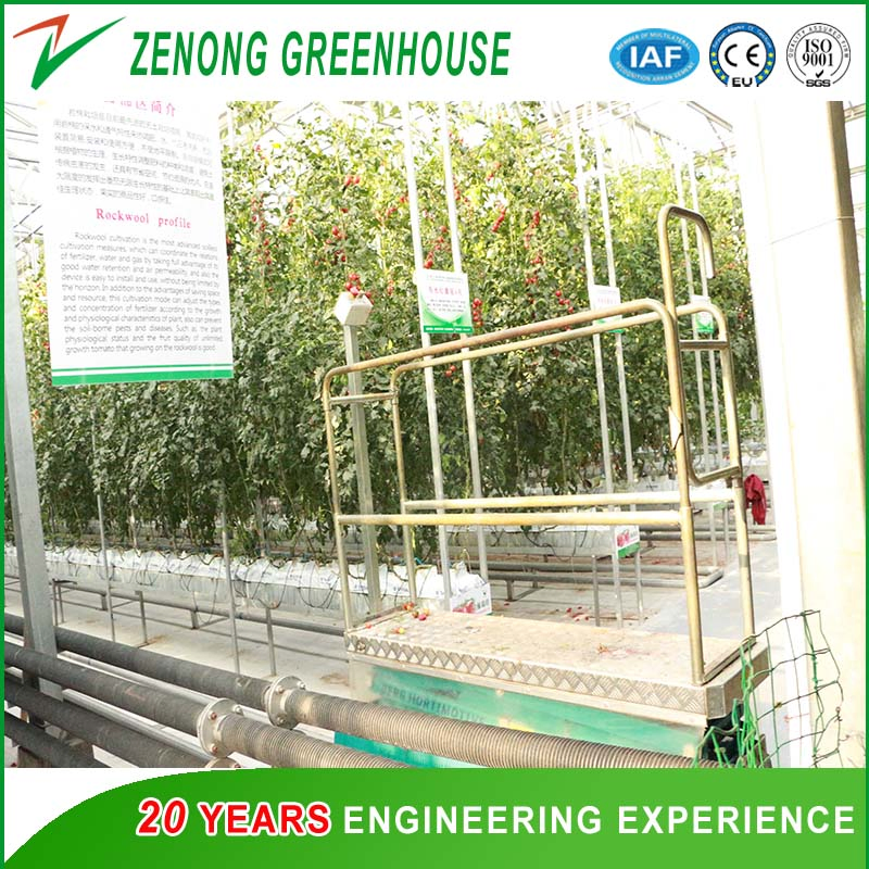 High Safety Hydraulic Elevating Work Platform for Picking up Fruits/Vegetables