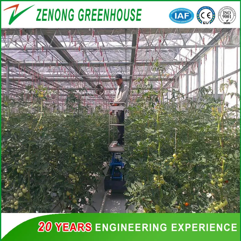 Picking Machine Show 4