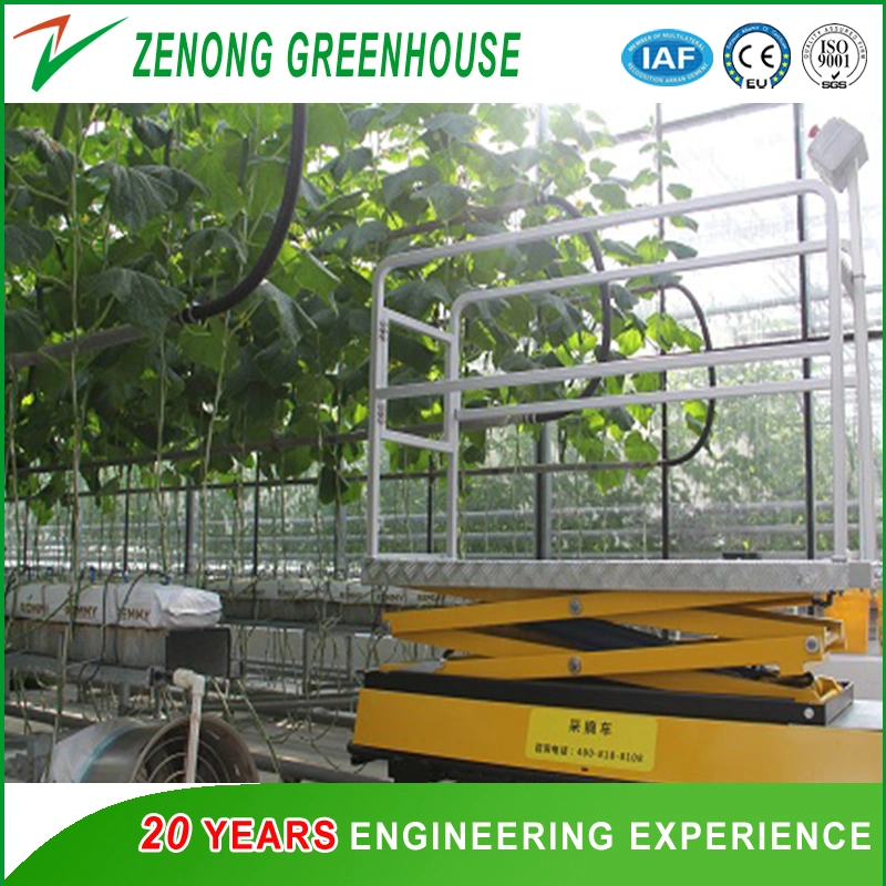 High Place Fruit Picking Platform for Agriculture
