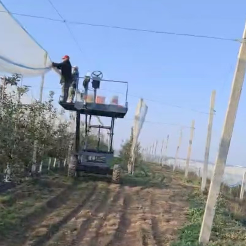 Professional Orchard Harvesting Platform Manufacturer - Make Picking Easy &amp; Fast